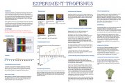 Tropismus-Projekt der 11c